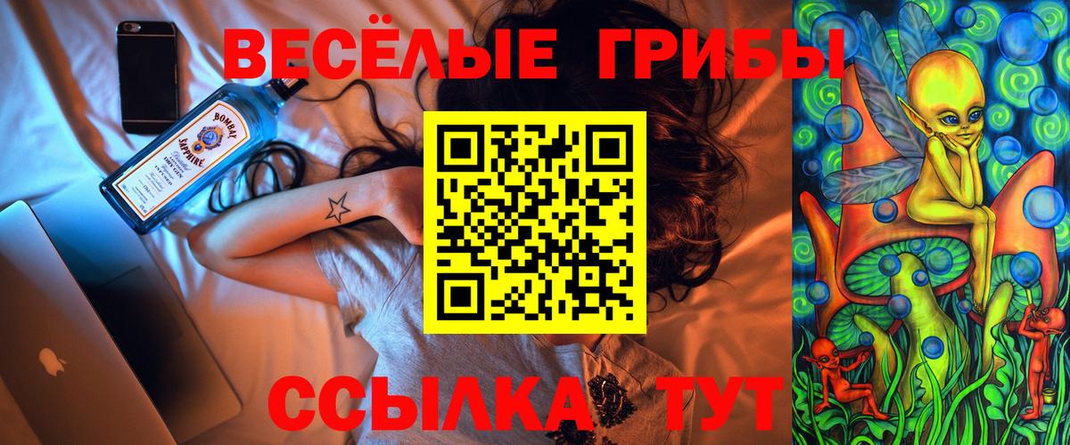 Петрозаводск  Галлюциногенные грибы Psilocybe  Вход с VPN  Галлюциногенные грибы GOLDEN TEACHER 
