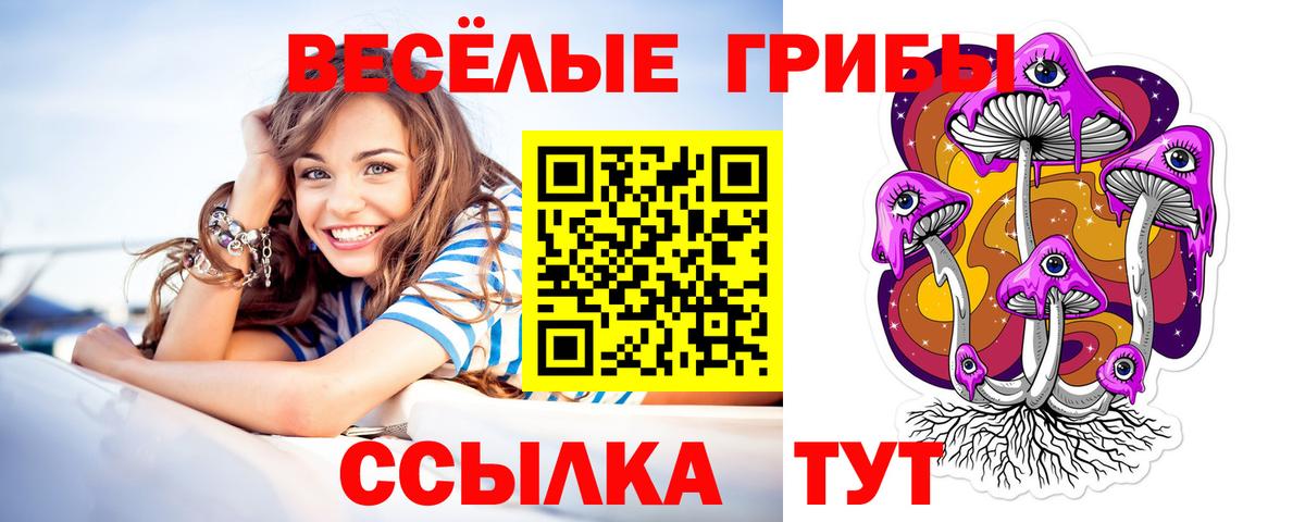 Псилоцибиновые грибы Psilocybine cubensis Петрозаводск